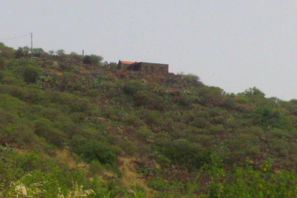Casa Rural La Casa De La Lima Las Rosas  Dış mekan fotoğraf